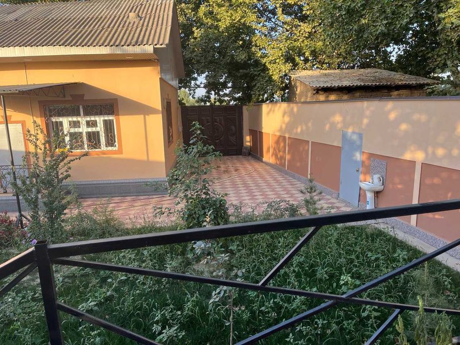 Уй Янгийул туманида