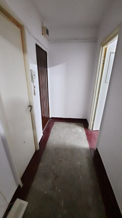 Ap.2cam cf1sd  Plantelor