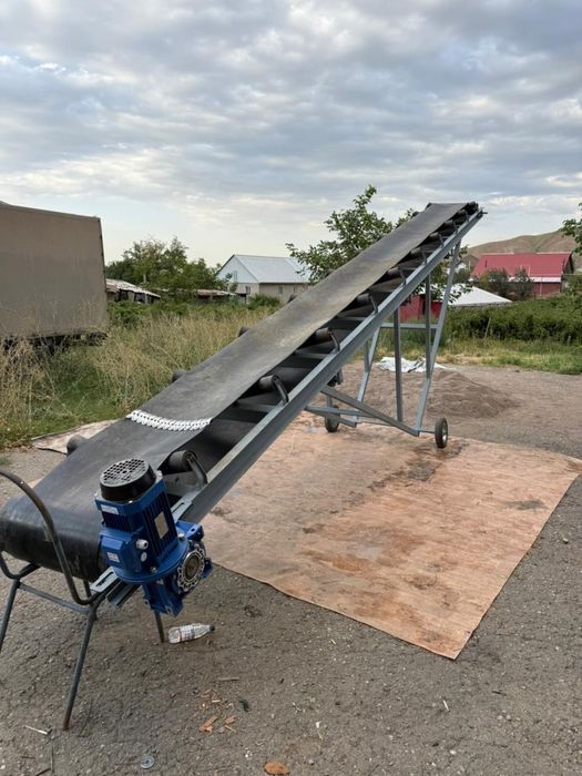 Леточный транспортер