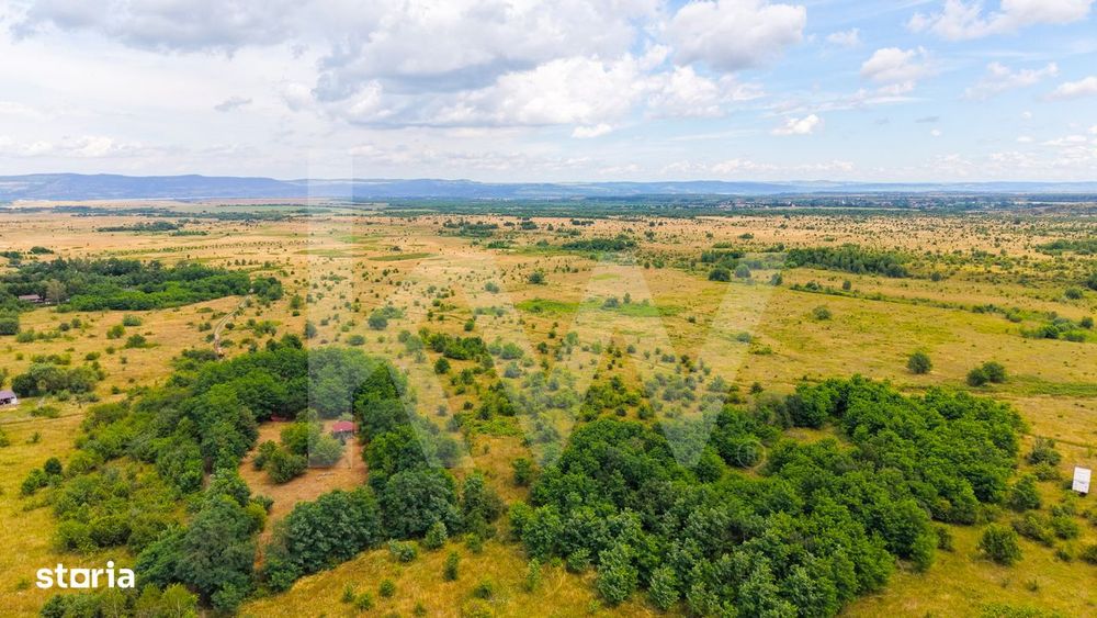 Teren extravilan de vanzare - Valea Avrigului, Sibiu
