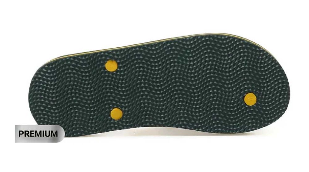 Papuci - Slapi Bărbați U.S. Polo Assn /  Marimea 44-45