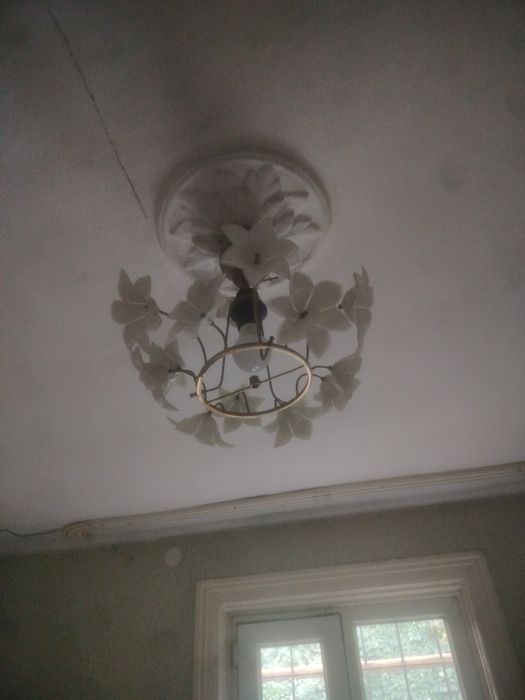 Отдам в дар, самовывоз