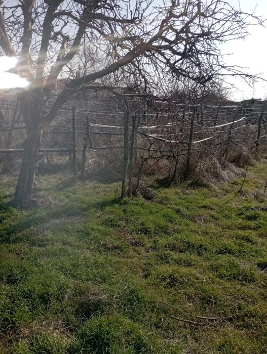 Къща с двор с.Бегово