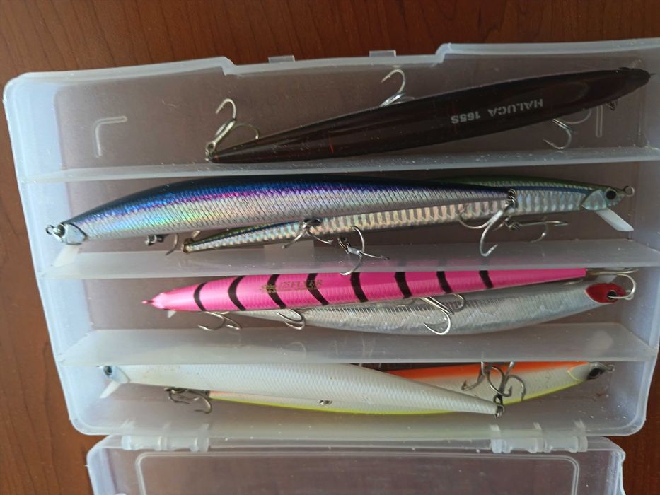 Воблеризаморскириболов