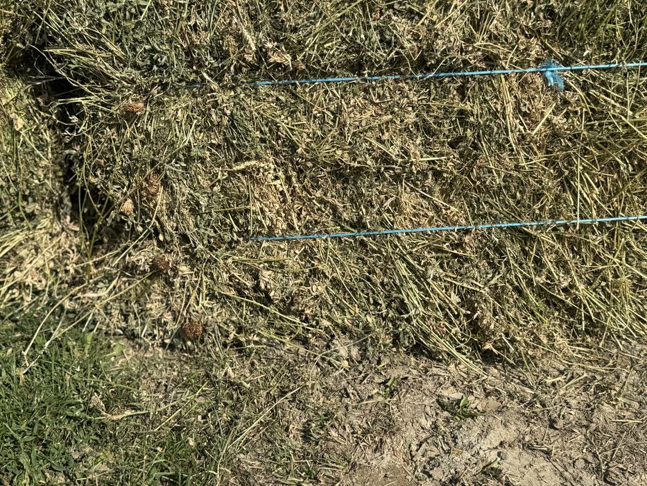 Baloti lucerna si fan prima coasa si a doua si a3 coasa