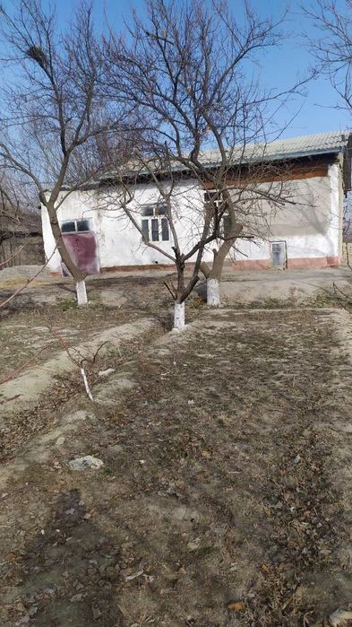 Ховли сотилади 19 сотих