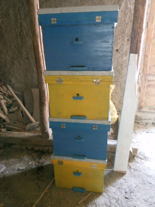 Taxta sasna uchlik taxtadan