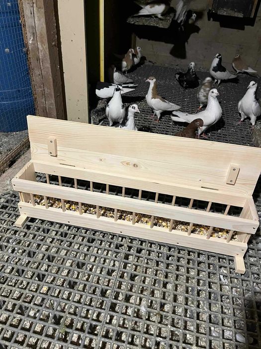 Хранилки за гълъби