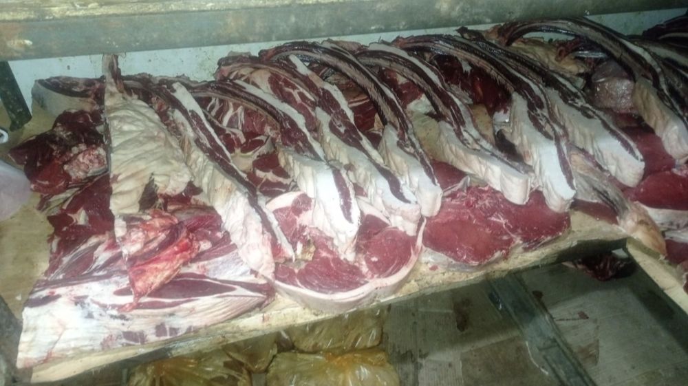 Жас жылқы еті сатылады мясо