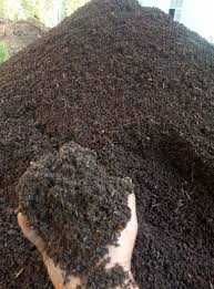 Biogumus Tozalangan Elangan 1200 soʻm