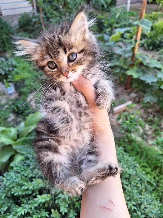 2yarm oylik 1 ta òģil 3 ta qizbola soģlom quvnoq muwucalaa