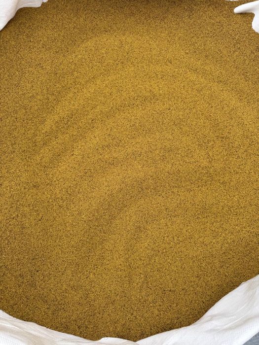 Sămânță de lucernă