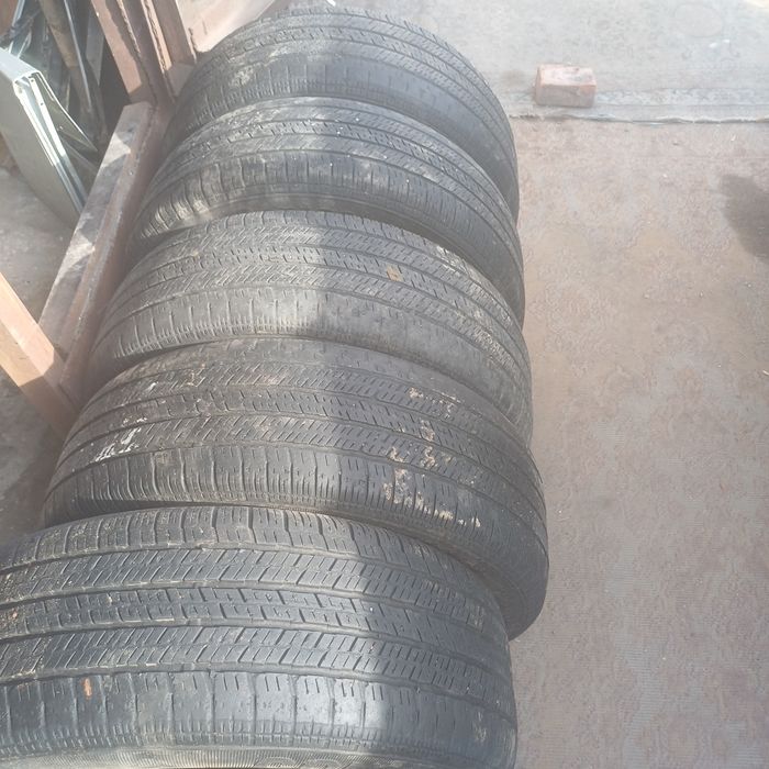 Летняя Соntinental R16