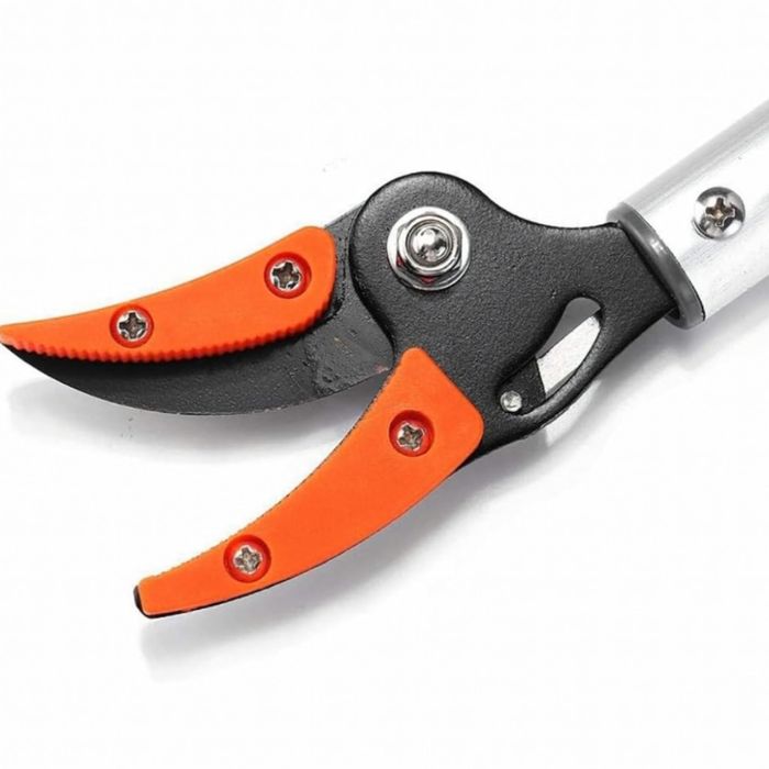 Ножица за клони и бране на плодове 100 см-прецизно рязане без стълба