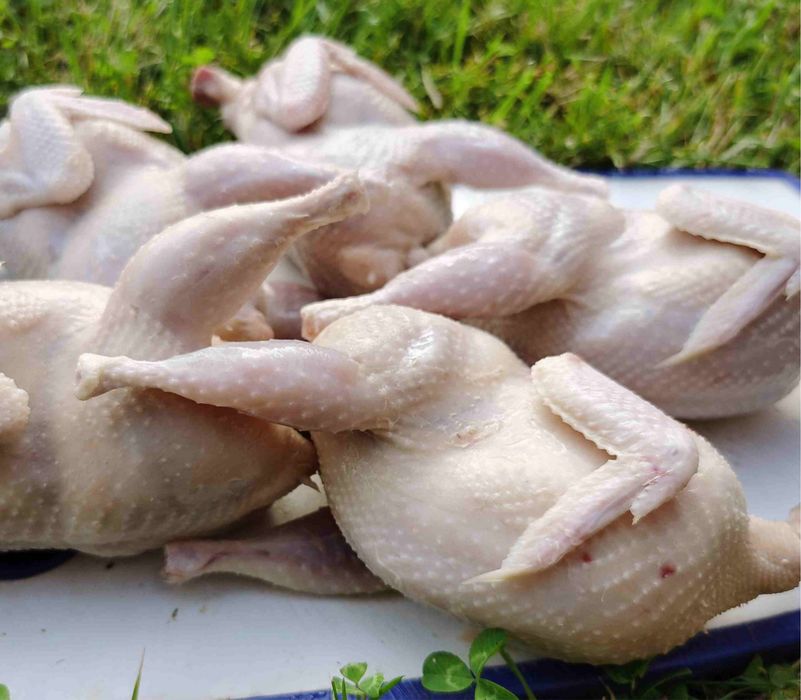 Перепелиное мясо