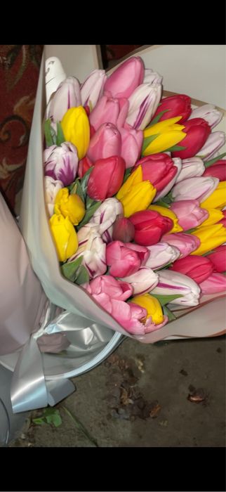 Тюльпаны оптом и в розницу