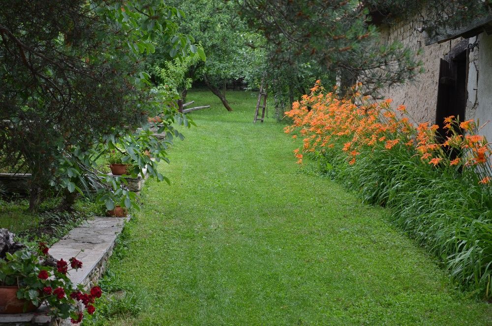 Жълт есенен минзухар,лилиум/крин