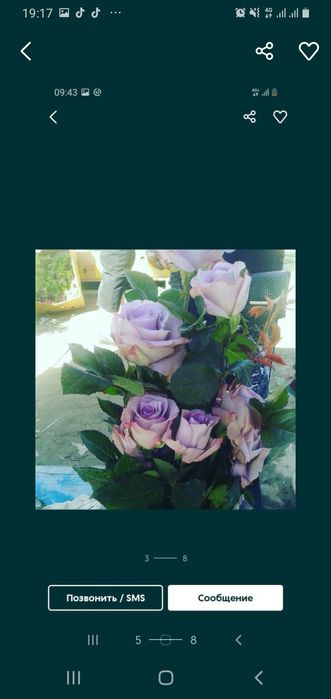 Розый бутонами и корнями