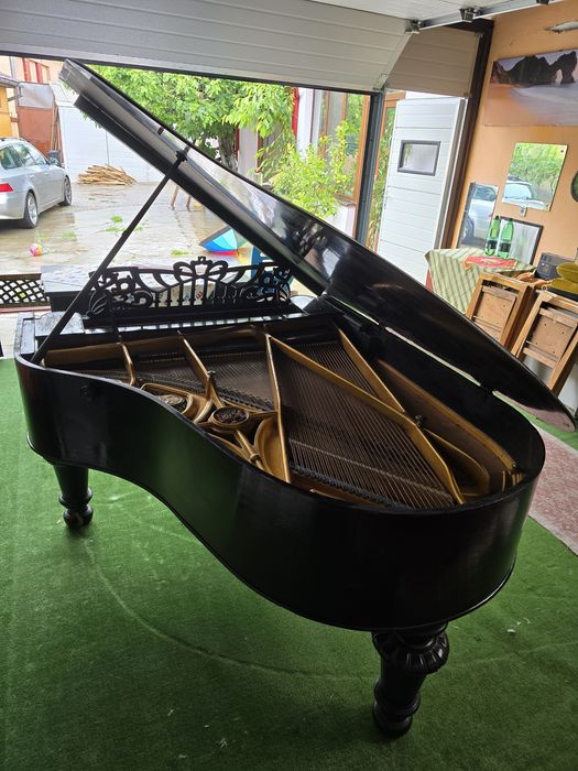 Pian coada medie Ed.Seiler