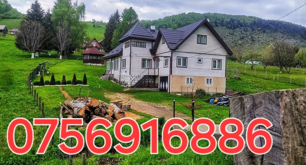 Executăm următoarele : Acoperișuri și Mansardari sistem complet terase