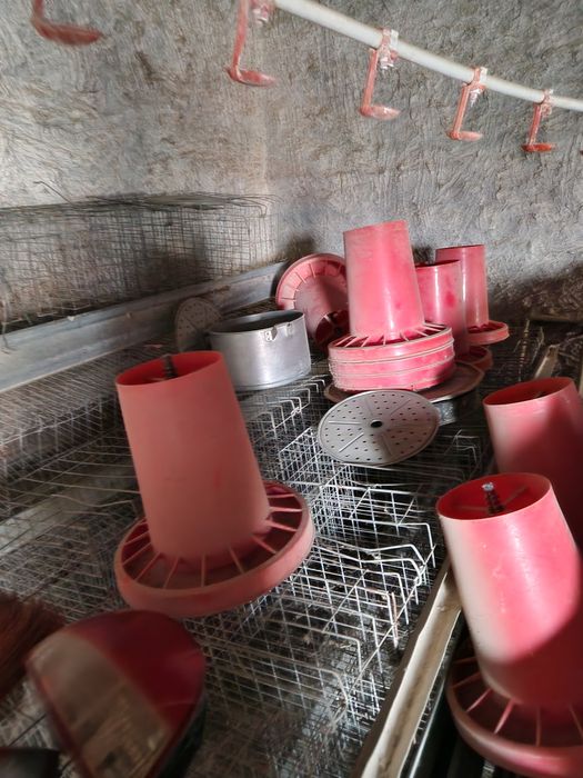 Броллер ем идиш ва сетка тухум тугадигон товукларга