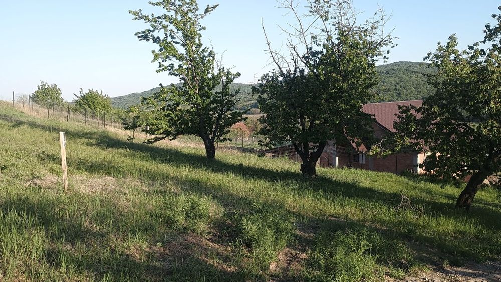 Teren construcții intravilan