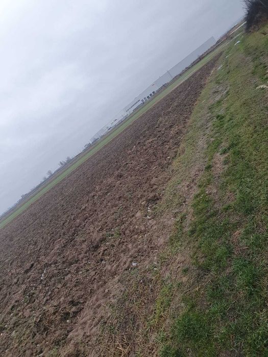 Vând teren extravilan 2,5 hectare