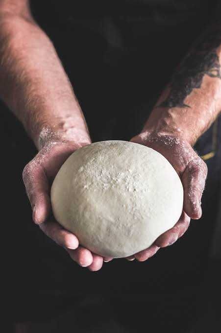 Paline Pizza Profesional