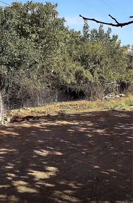 Bostonliq tumani qora mozorda 15 sotik