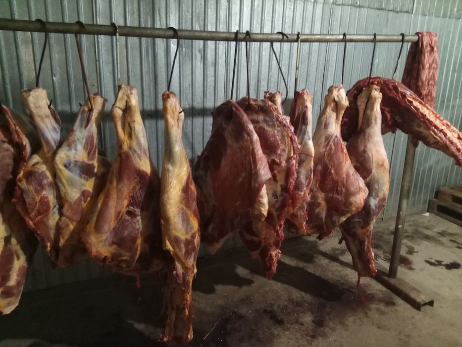 Мясо говядина свежие