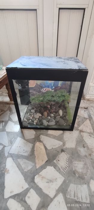 Аквариум сатылады сынык жарык жери жок  компрессорын косып беремен