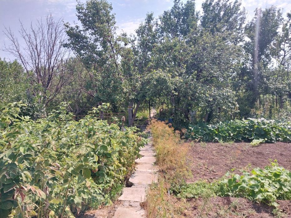 Дача на бугарках