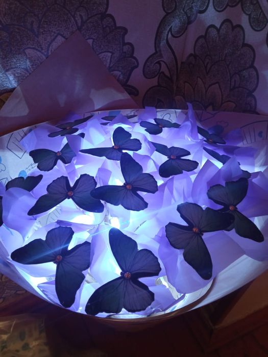 Букет из бабочек