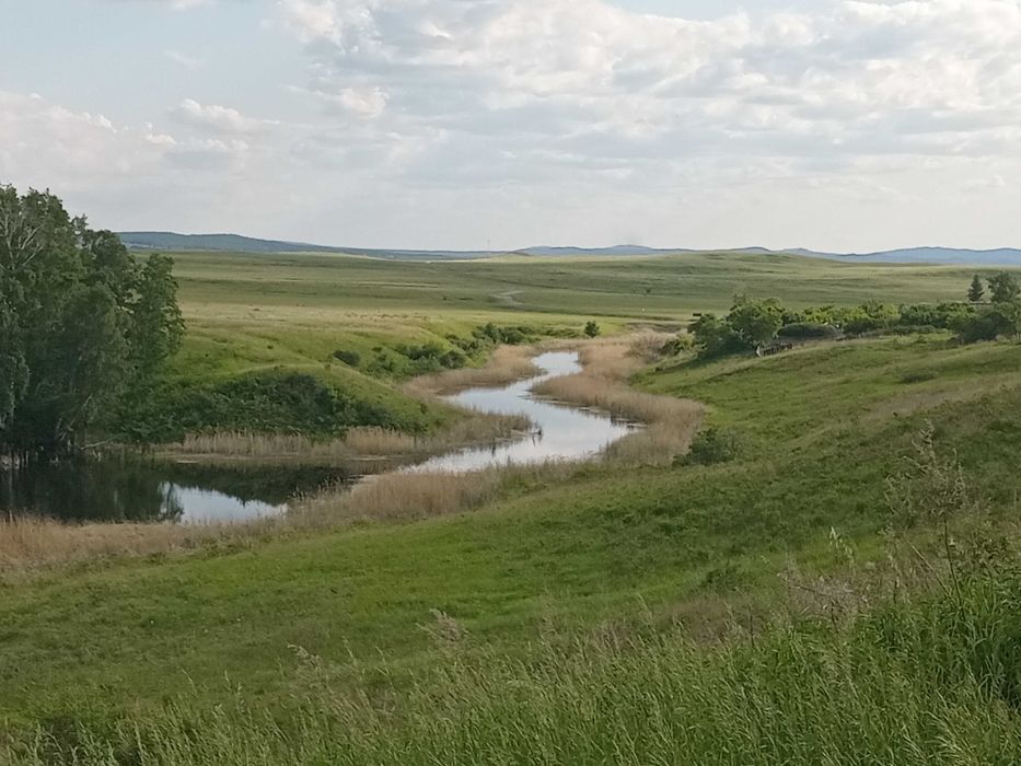 Земельный участок в Боровом