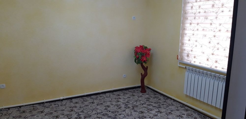 Katej sotiladi 2 sutig'li