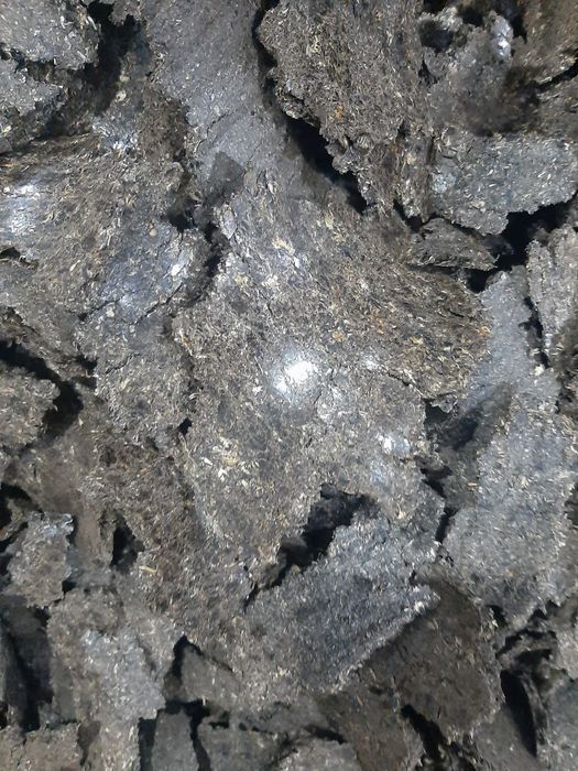 Chorva mollari uchun sifatli semichka shroti!