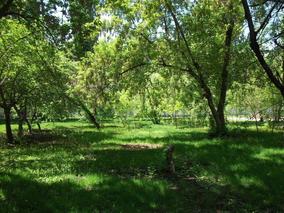 Fujifilm finepix av100