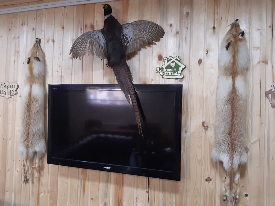 Сдается баня терем