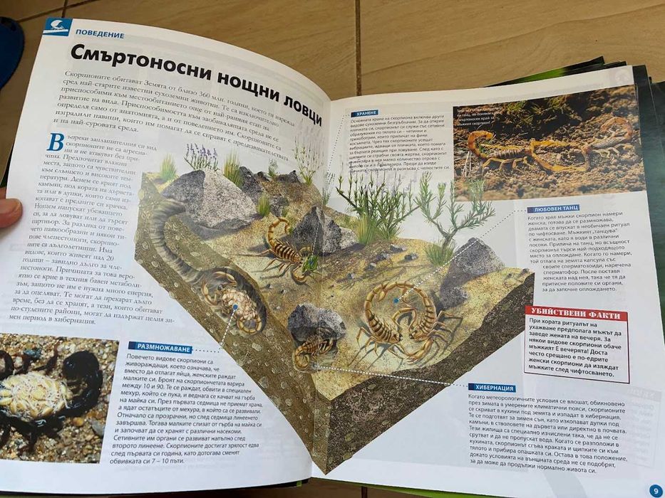 Голям лот от детски списания за буболечки - над 60 броя