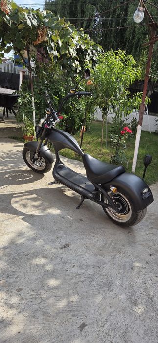 Scuter Electric Chopper Mangosteam