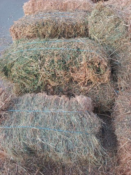 Vând baloti de lucerna/fân