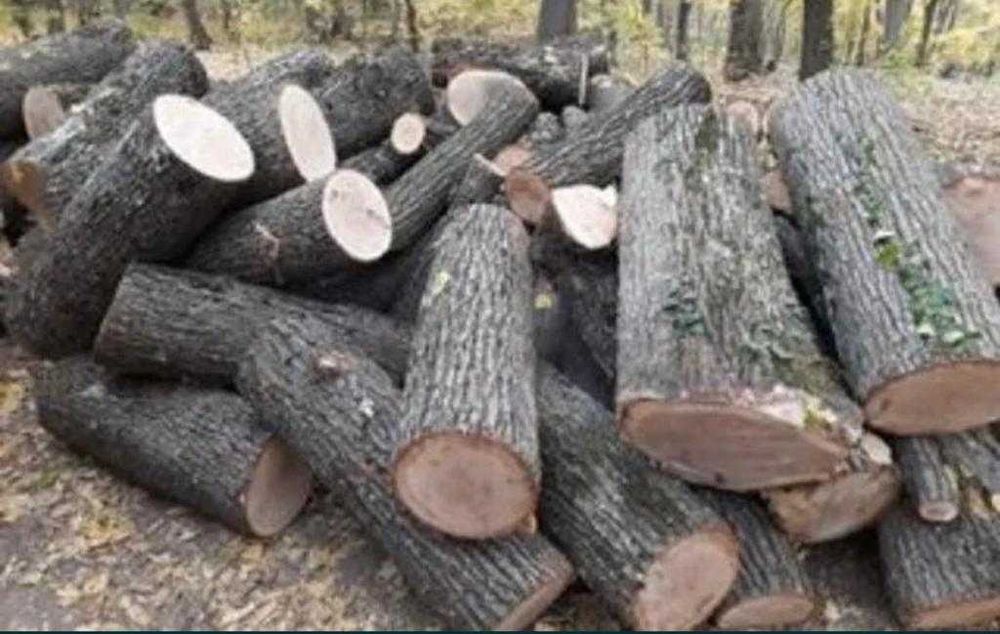 Lemne foc Stejar - salcam - fag