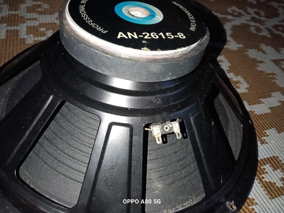 Subwofer 15 inch/ 38 cm