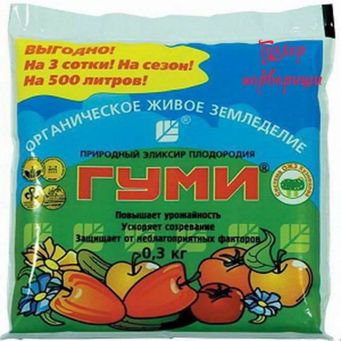 Gummi Гумми.   .