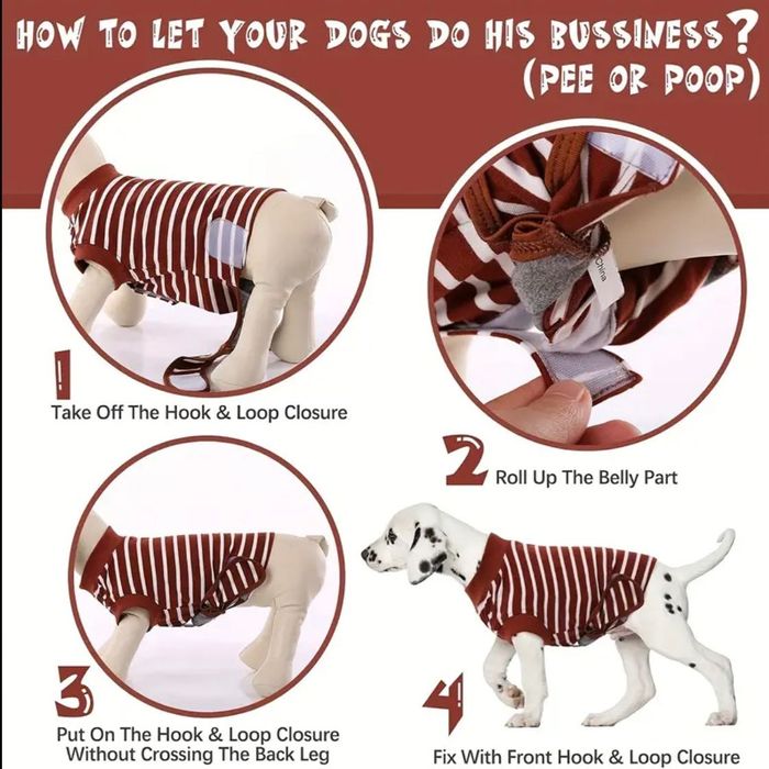 Body hăinuta recuperare medicală caini