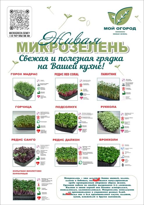 Живая Микрозелень