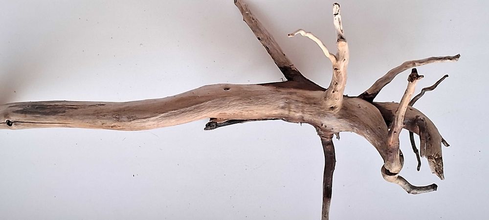 Коряга в аквариум