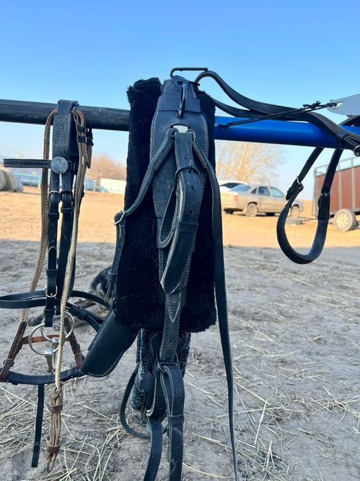 Продам рысистую сбрую качалку