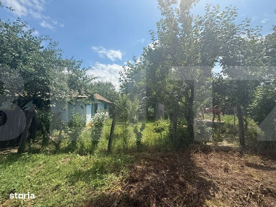 Casa individuala, 55 mp, teren 5000mp, Schit Oraseni, Com. Cristesti