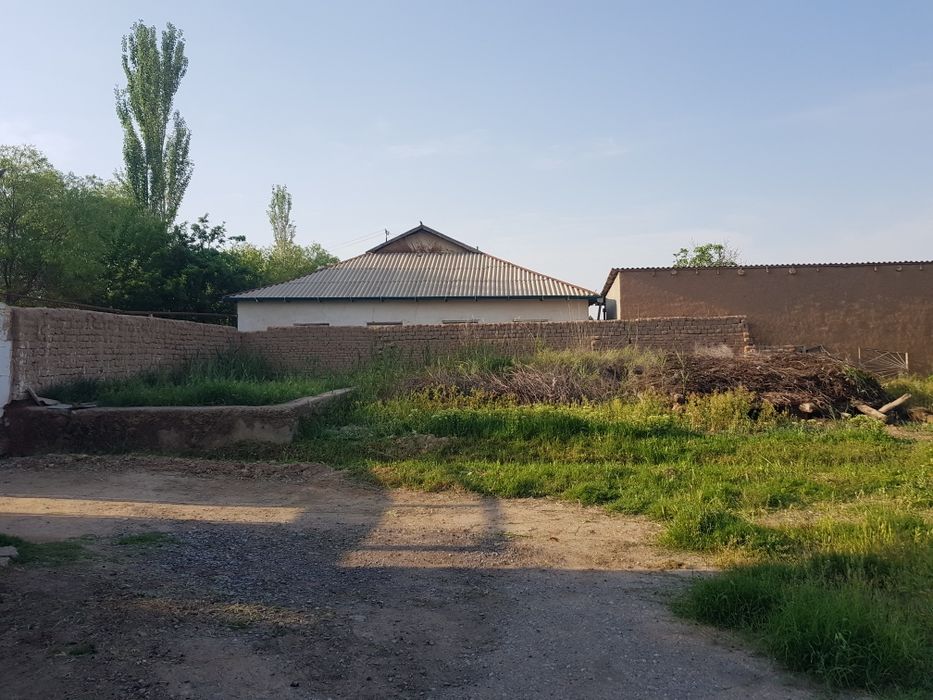 Tomorqa daraxtlari bilan maxallani markazida joylashgan 20 sotix.